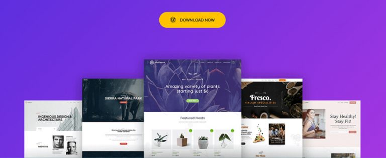 Astra Theme Review – Know Why Astra Is The Best Multi Purpose WordPress Theme